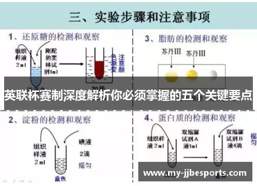 英联杯赛制深度解析你必须掌握的五个关键要点